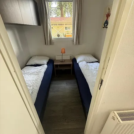 Slechtvalk 7 *