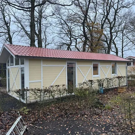 Slechtvalk 7 * Hulshorst